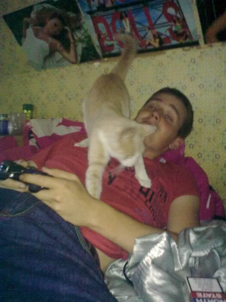 Huskat Felix - vil så gerne spille ps2 med far billede 6