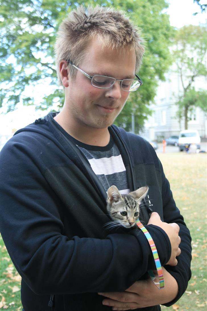 Huskat Oggy - Gåtur ved Kastellet, men det er hyggeligere at være under fars jakke billede 3