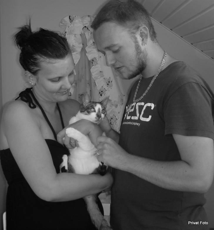 Blanding af racer Maggie Diamond <3 billede 12