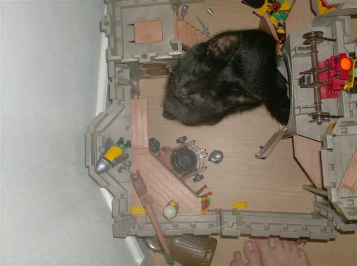 Blanding af racer Sofus - Vil du være med? billede 14