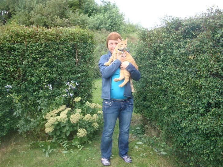 Huskat Pjuske billede 4