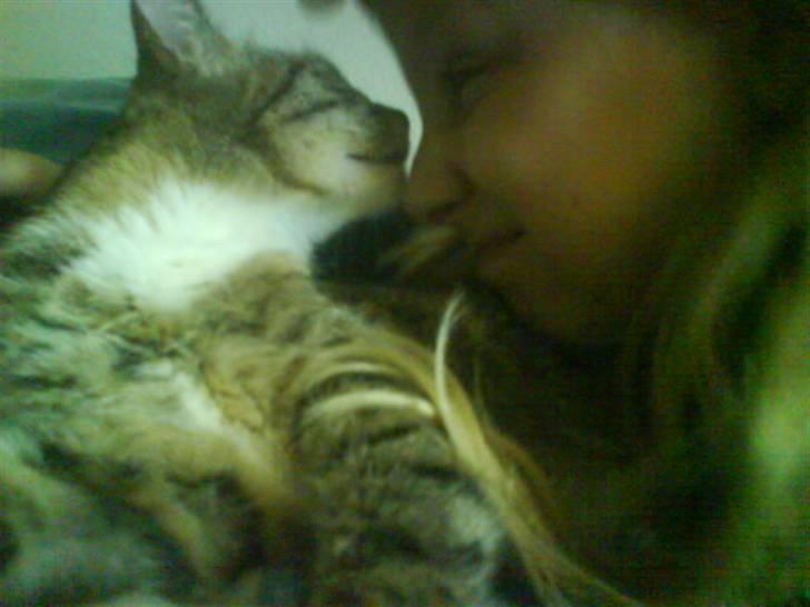 Blanding af racer Little *Min Elsked Mis* billede 3