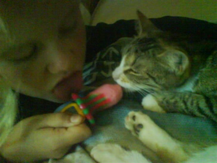 Blanding af racer Little *Min Elsked Mis* billede 5