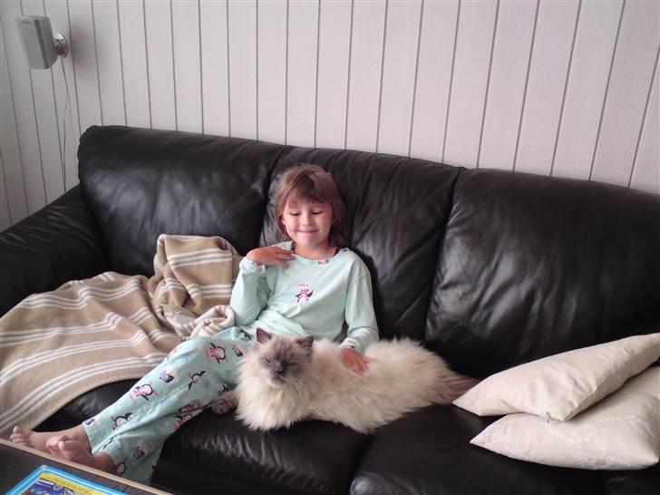 Blanding af racer Gismo billede 20