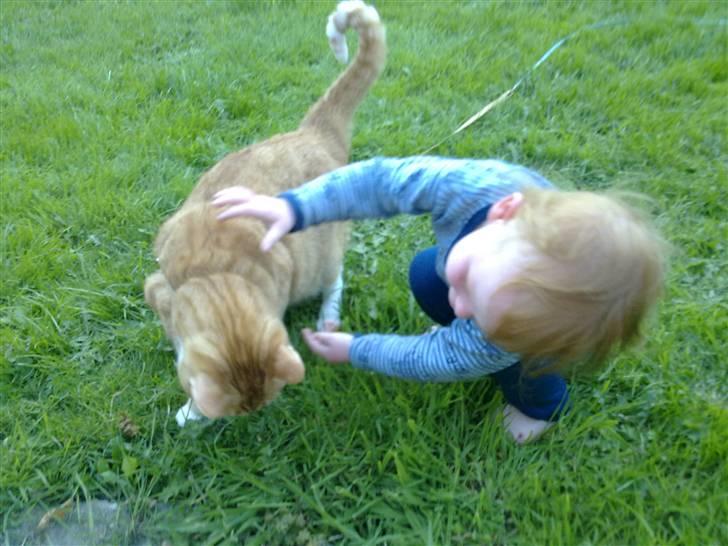 Huskat Garfield R.I.P <3 - Ham min mors lillebror er nu lidt intressant... billede 9