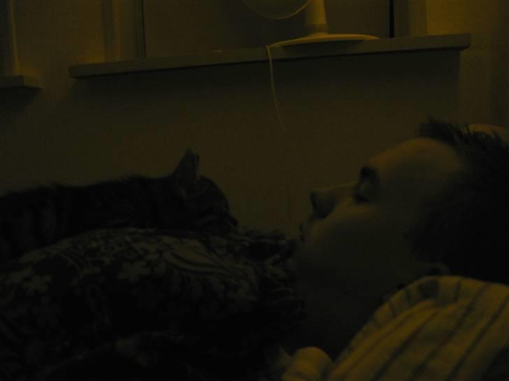 Blanding af racer Bjarke - det er mine to dejlige drenge min forlovede og min lille baby boy billede 16