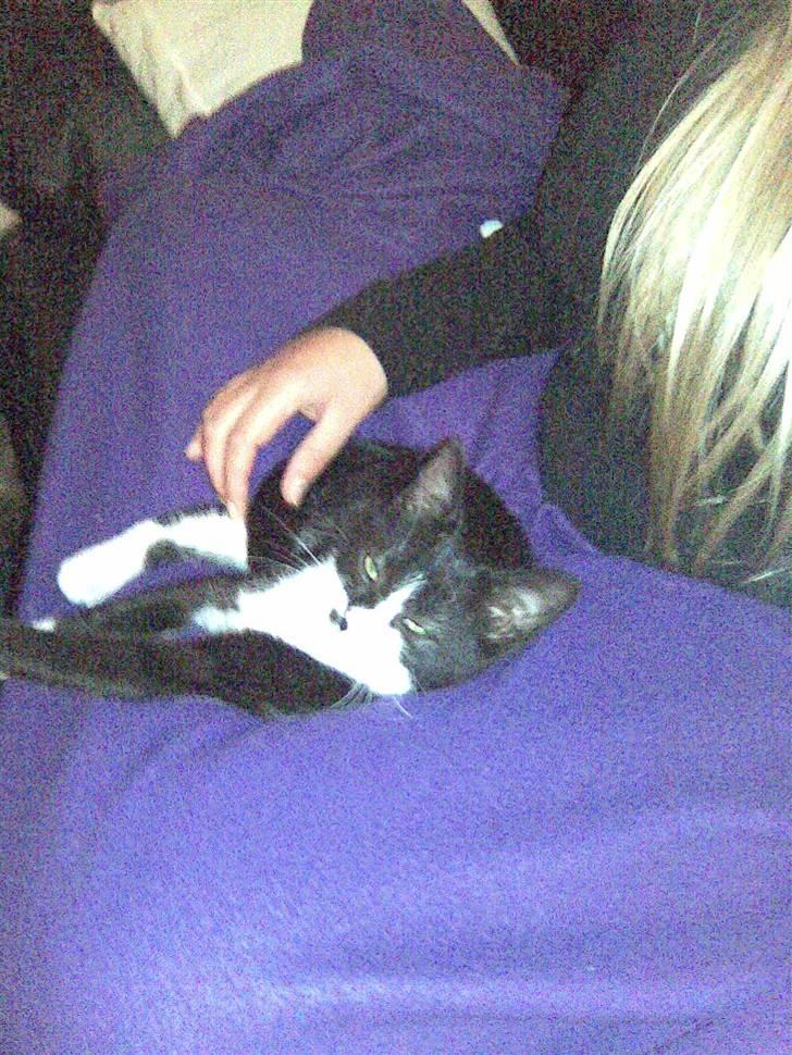 Huskat Nella billede 9