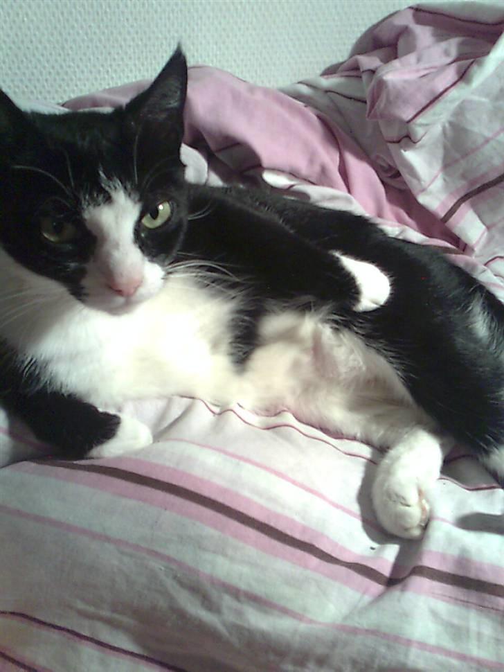 Huskat Niki - Vil du godt lade være med at tage billeder af mig mens jeg er i bad?! billede 10