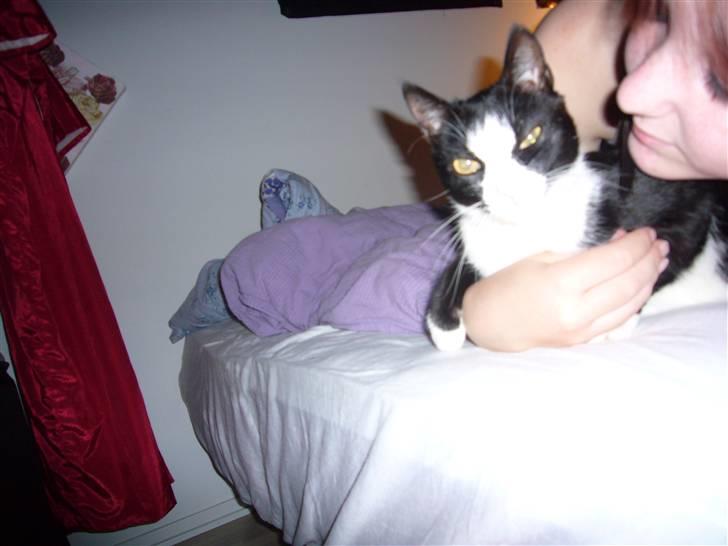 Huskat Niki - Gå nu væk mor, kan du ikke se jeg lå og sov? billede 12