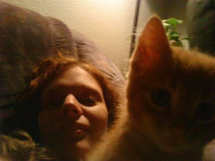 Huskat Speedy d. 3. billede 6