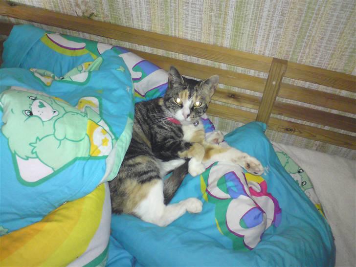 Huskat mulle 04-03-10 R.I.P. billede 12