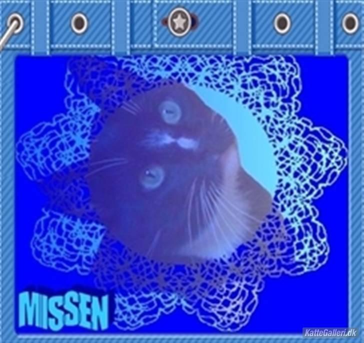 Huskat missen - billedet er lavet af "missemor" billede 19