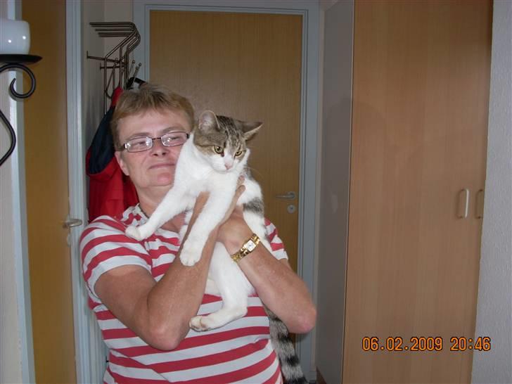 Huskat fiffi billede 4