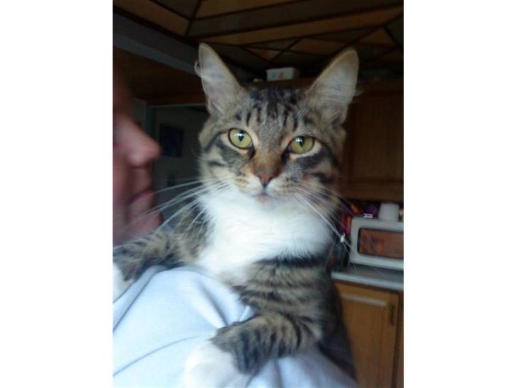 {{currentPhoto.altText}} billede {{currentPhoto.number}}