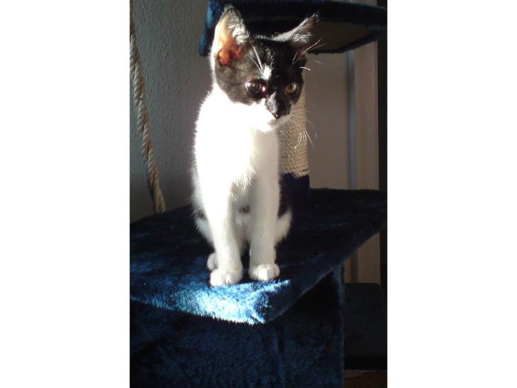 {{currentPhoto.altText}} billede {{currentPhoto.number}}