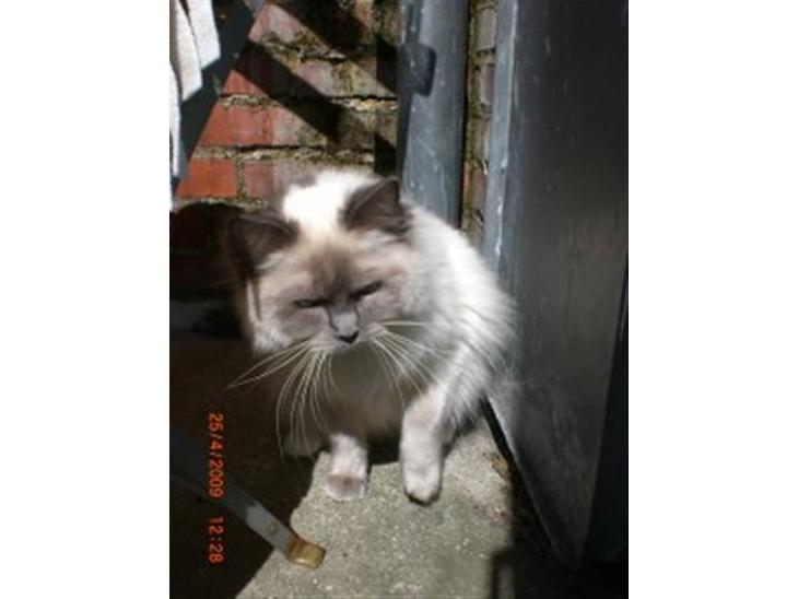 {{currentPhoto.altText}} billede {{currentPhoto.number}}