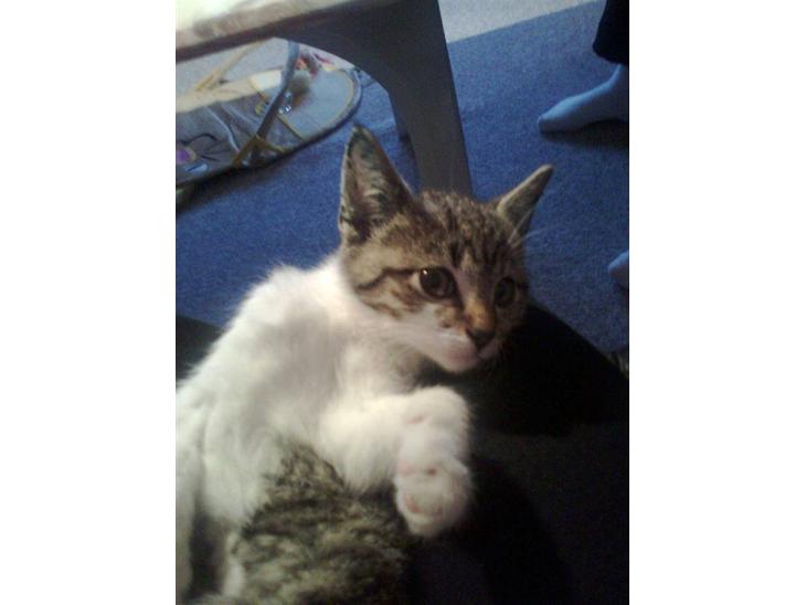 {{currentPhoto.altText}} billede {{currentPhoto.number}}