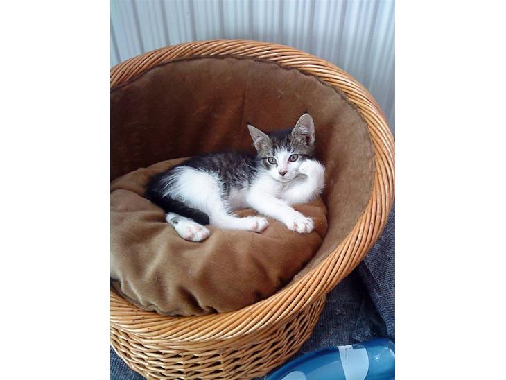 {{currentPhoto.altText}} billede {{currentPhoto.number}}