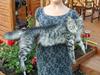 Maine Coon zevo