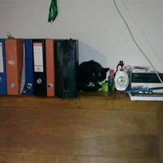 Blanding af racer Charmie