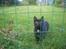 Huskat Black Jack <3 R.I.P.