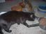 Huskat Black Jack <3 R.I.P.