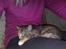 Huskat Katja *RIP*