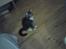 Blanding af racer silver tiger AKA MOMO