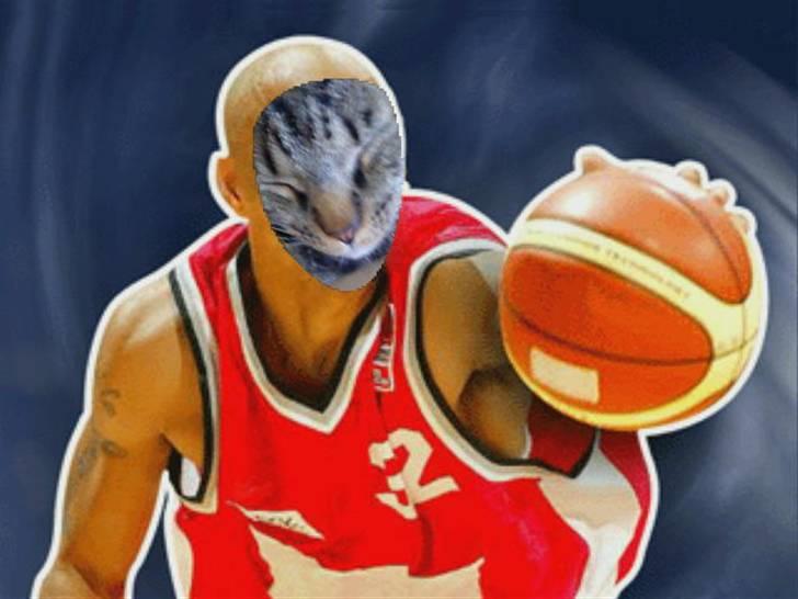 Huskat Diesel R.I.P billede 10