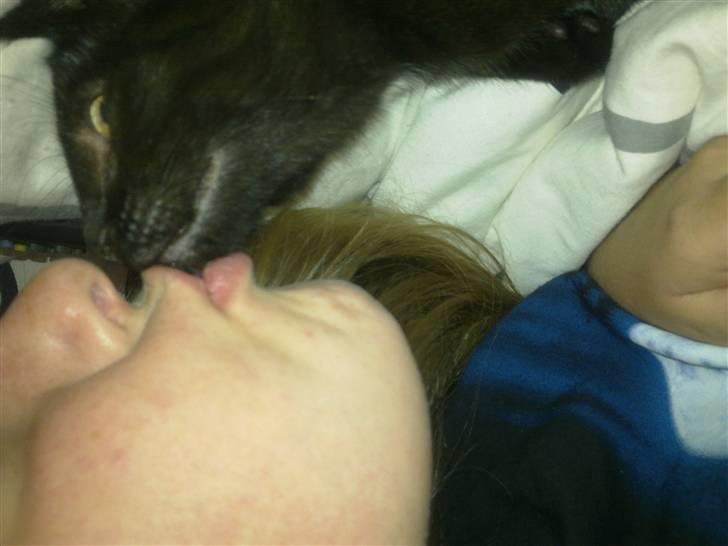 Huskat Kovu - Mig og mor kysser  billede 4