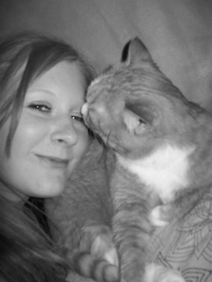 Huskat Thilde <33 - taget 2008.. Anisa du afbryder når jeg ligger og vasker mig, betyder det at du vil vaskes lidt? <3 billede 15