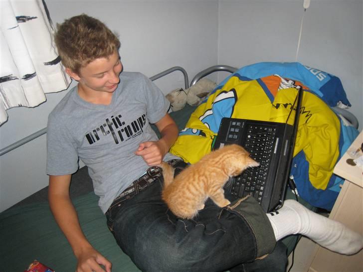 Huskat pivs billede 12