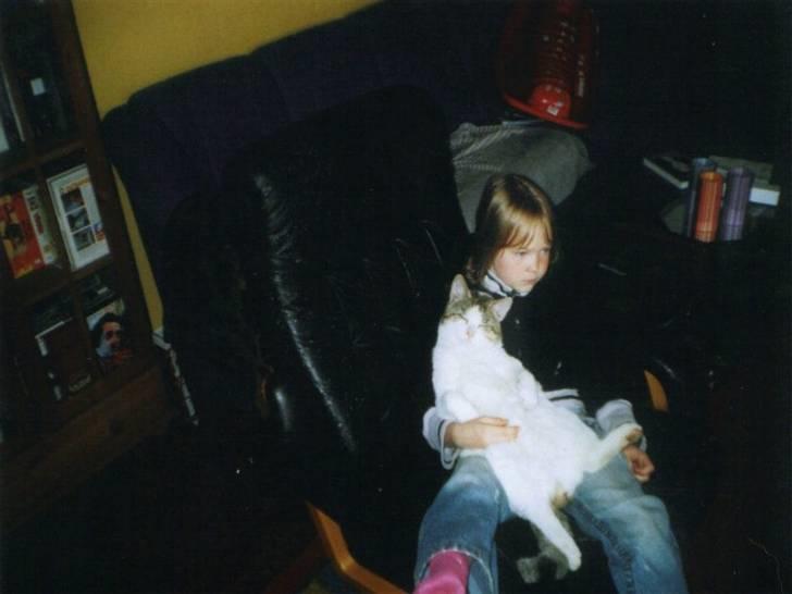 Huskat Felix - Ja det et gamelt billede, fra hvor vi bode før;) billede 2