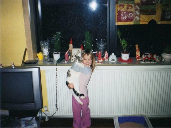 Huskat Felix - Det også fra hvor vi bode før:) Jeg tror jeg var ca5-6 år ;P billede 3