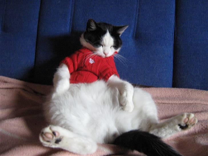 Huskat Nuser* Solgt* D; - for den her bluse mig til at se tynd ud? billede 3