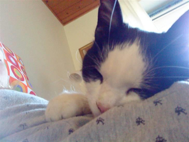 Huskat Nuser* Solgt* D; - Zzzzzzz.... billede 6