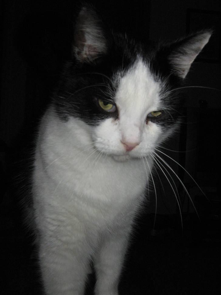 Huskat Nuser* Solgt* D; - Okay, nu skal du ik´ tænke jeg ser spasser ud lige på det her billede,men! alle har lov til at se mærkelig nogen gange:P ik´? billede 9