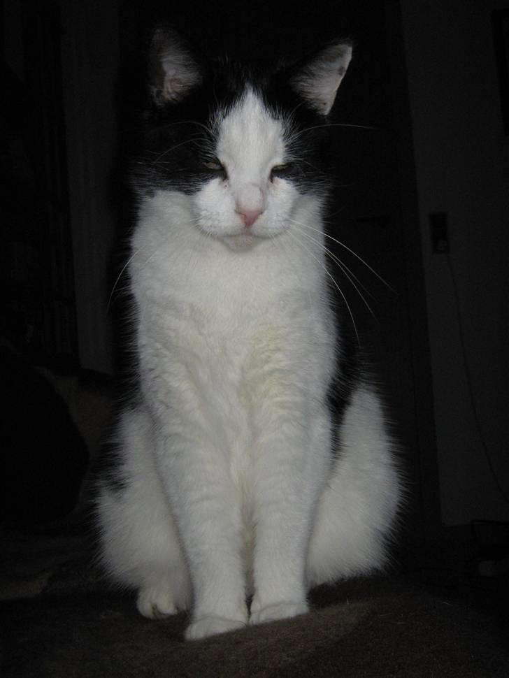 Huskat Nuser* Solgt* D; - Mig køn.?? JA TOTAL!:D billede 11