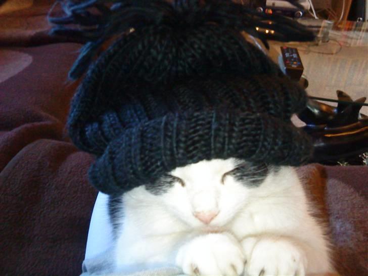 Huskat Nuser* Solgt* D; - Så er det på med huen :-> billede 13
