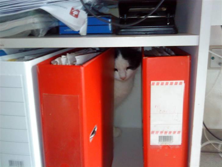 Huskat Nuser* Solgt* D; - jeg håber ikk de finder mig:p billede 15