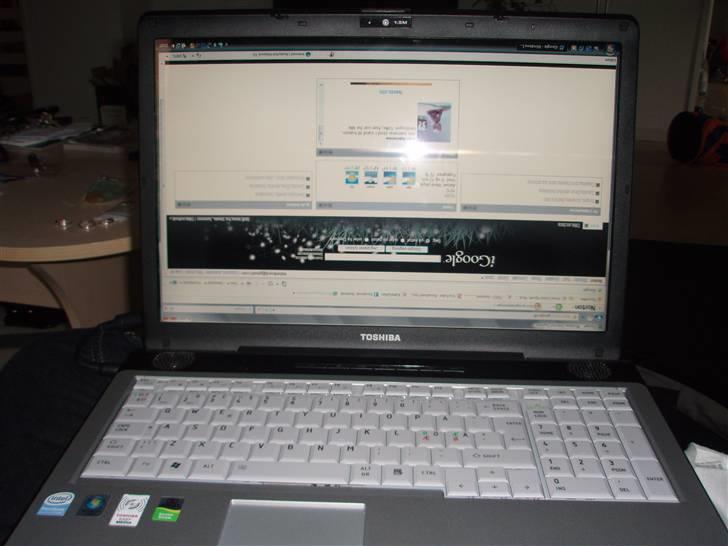 Hellig Birma Lucius - Efter en lille gå tur på tasteturet, lykkedes det ham at få vendt mit skærmbillede på hovedet.  Ikke helt nemt at ændre... billede 9