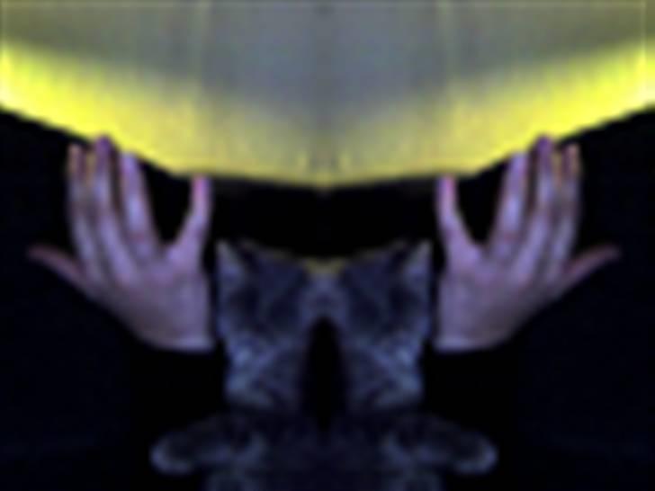 Huskat Minni Mis billede 9