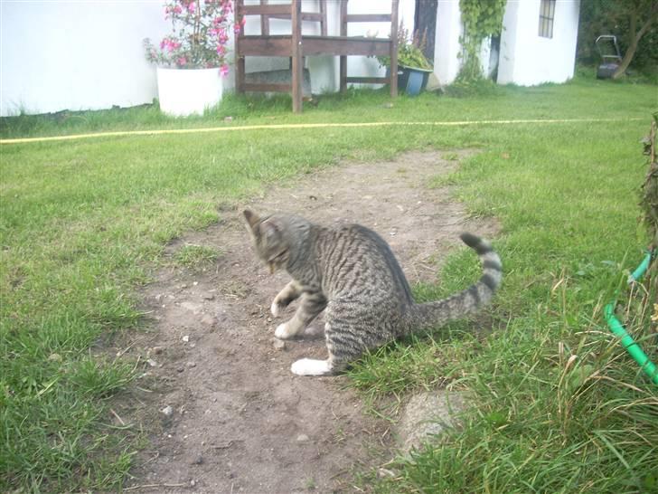 Huskat Madea *død*† billede 2