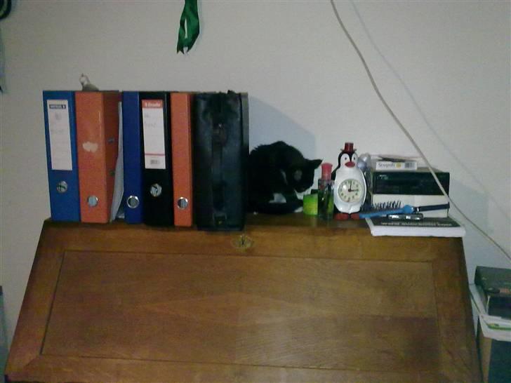 Blanding af racer Charmie billede 3