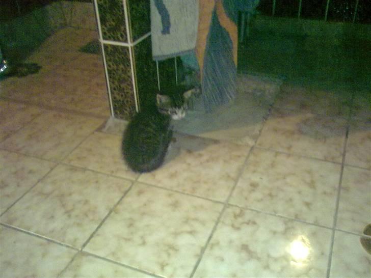 Huskat mille billede 10