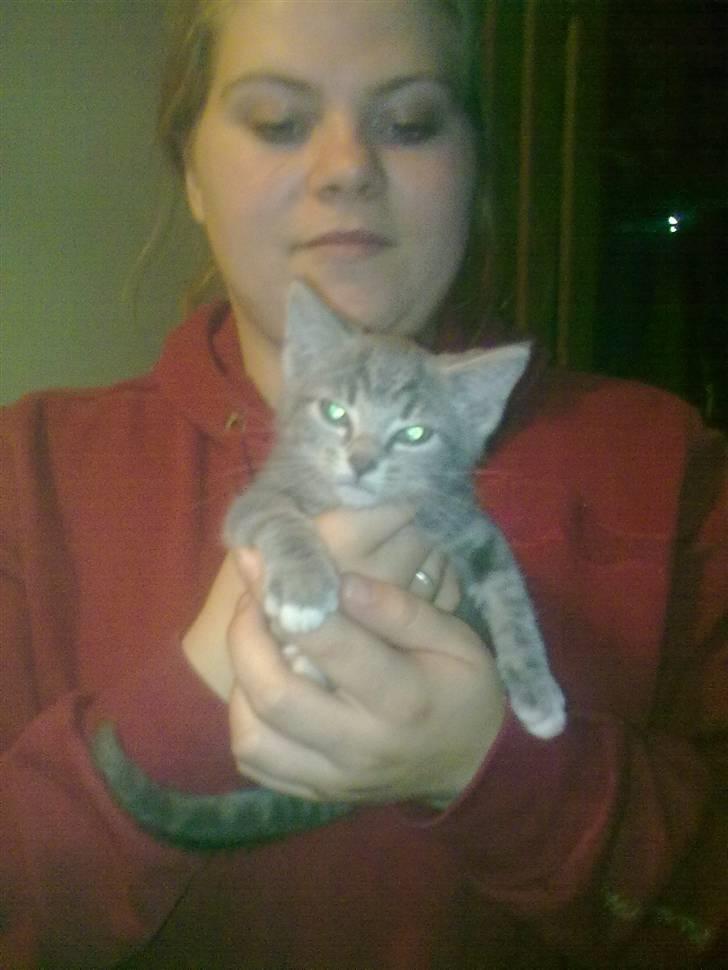 Huskat mille billede 16