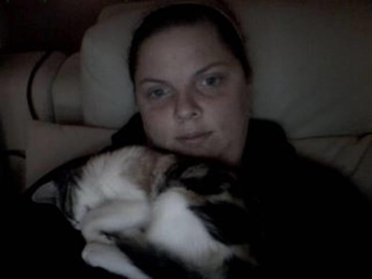 Blanding af racer Bonita - Ligger og hygger, ved min mor billede 6