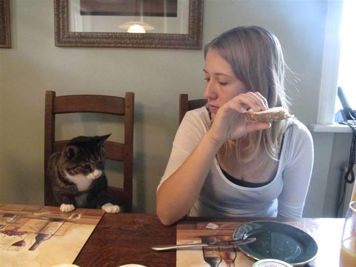 Blanding af racer Laban - Laban og min søsters veninde ved morgenbordet (: billede 12