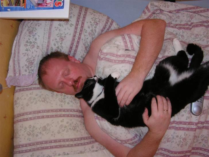 Huskat Tjalfe (Fofo) billede 6