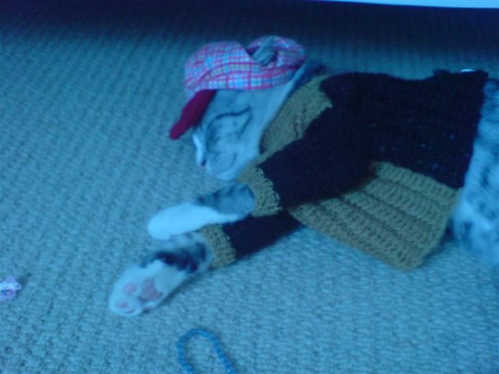 Blanding af racer Putte † billede 8